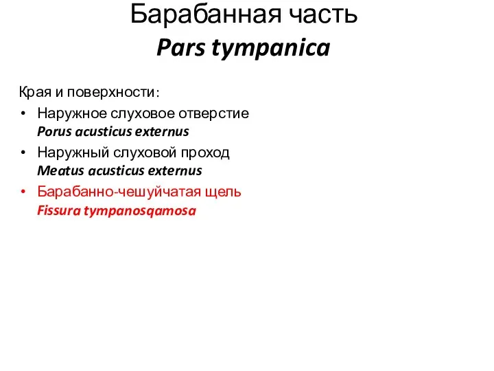 Барабанная часть Pars tympanica Края и поверхности: Наружное слуховое отверстие