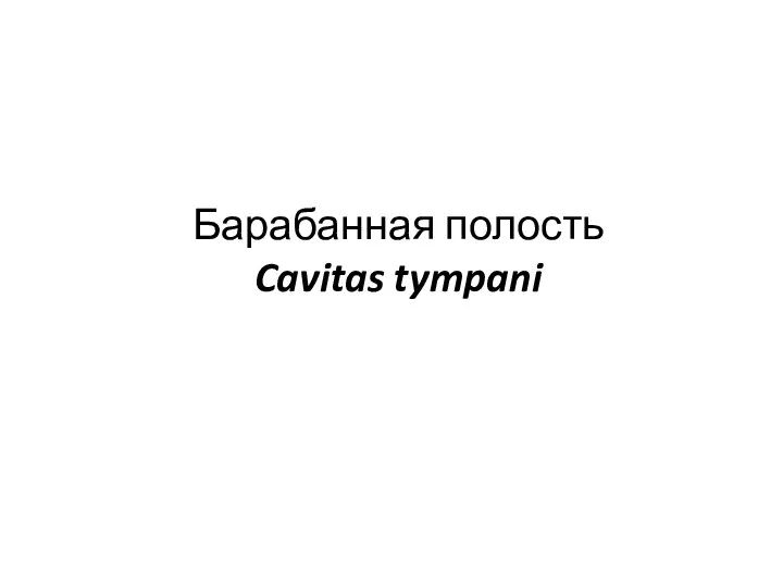 Барабанная полость Cavitas tympani