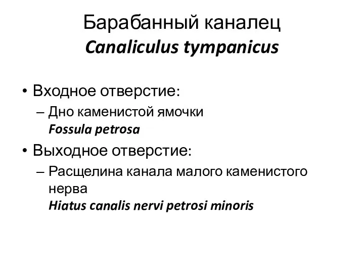 Барабанный каналец Canaliculus tympanicus Входное отверстие: Дно каменистой ямочки Fossula