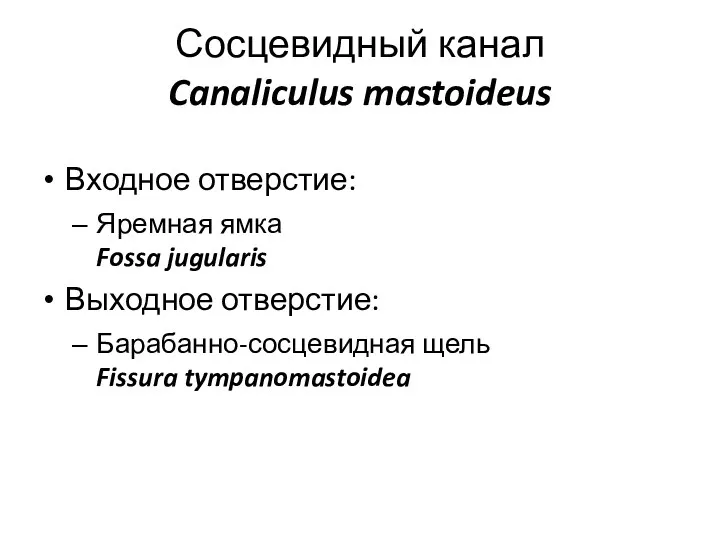 Сосцевидный канал Canaliculus mastoideus Входное отверстие: Яремная ямка Fossa jugularis Выходное отверстие: Барабанно-сосцевидная щель Fissura tympanomastoidea