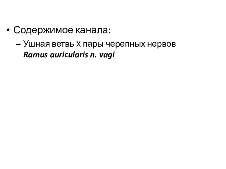 Содержимое канала: Ушная ветвь X пары черепных нервов Ramus auricularis n. vagi