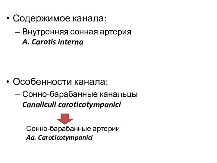 Содержимое канала: Внутренняя сонная артерия A. Carotis interna Особенности канала: