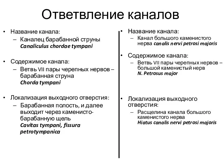 Ответвление каналов Название канала: Каналец барабанной струны Canaliculus chordae tympani