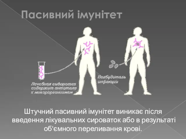 Штучний пасивний імунітет виникає після введення лікувальних сироваток або в результаті об'ємного переливання крові. Пасивний імунітет