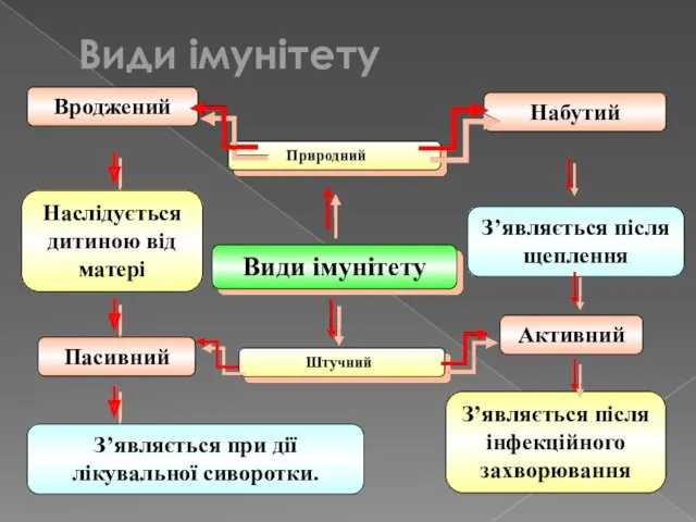 Пасивний З’являється при дії лікувальної сиворотки. З’являється після щеплення Набутий