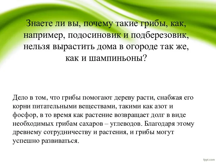 Дело в том, что грибы помогают дереву расти, снабжая его