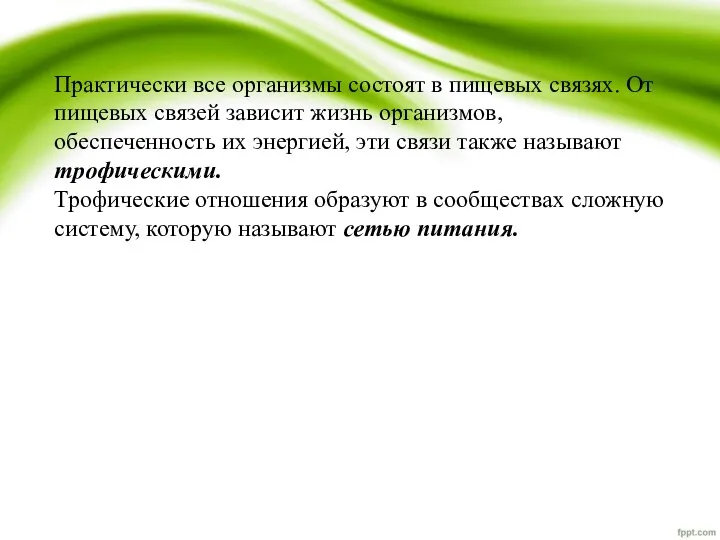 Практически все организмы состоят в пищевых связях. От пищевых связей