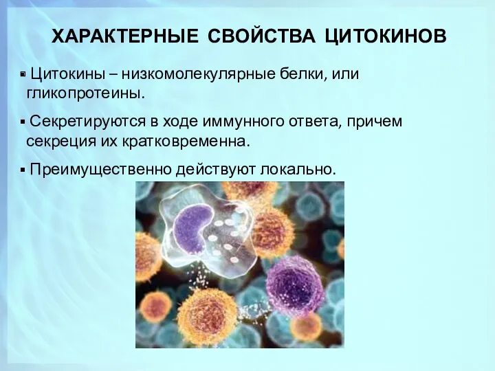 ХАРАКТЕРНЫЕ СВОЙСТВА ЦИТОКИНОВ Цитокины – низкомолекулярные белки, или гликопротеины. Секретируются