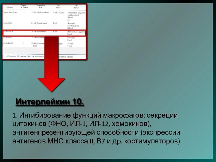 Интерлейкин 10. 1. Ингибирование функций макрофагов: секреции цитокинов (ФНО, ИЛ-1,