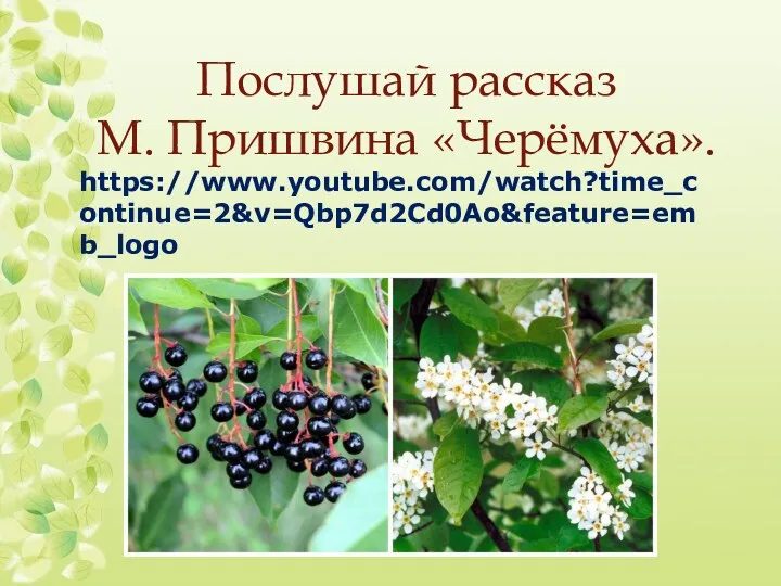 Послушай рассказ М. Пришвина «Черёмуха». https://www.youtube.com/watch?time_continue=2&v=Qbp7d2Cd0Ao&feature=emb_logo