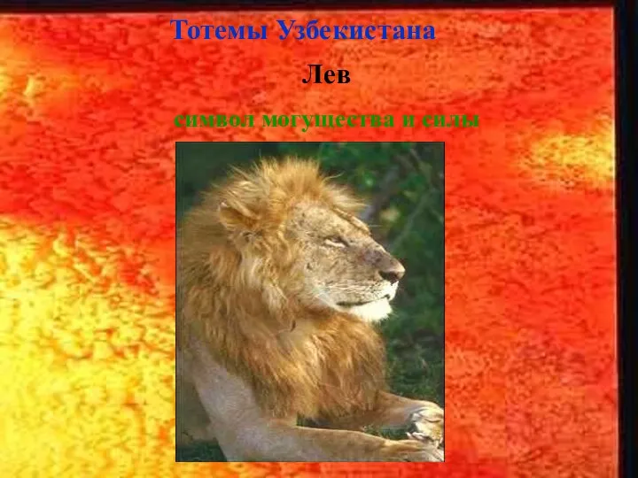 Лев символ могущества и силы Тотемы Узбекистана