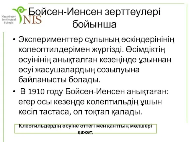 Бойсен-Иенсен зерттеулері бойынша Эксперименттер сұлының өскіндерінінің колеоптилдерімен жүргізді. Өсімдіктің өсуінінің анықталған кезеңінде ұзыннан