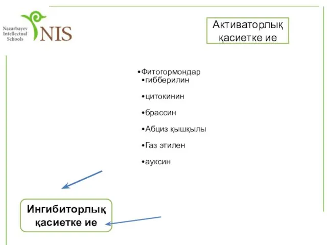 Фитогормондар гибберилин цитокинин брассин Абциз қышқылы Газ этилен ауксин Ингибиторлық қасиетке ие Активаторлық қасиетке ие