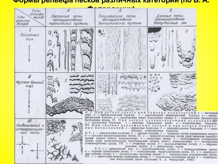Формы рельефа песков различных категорий (по Б. А. Федоровичу)