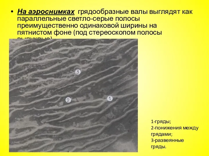 На аэроснимках грядообразные валы выглядят как параллельные светло-серые полосы преимущественно