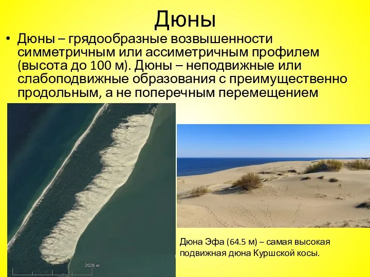 Дюны Дюны – грядообразные возвышенности симметричным или ассиметричным профилем (высота до 100 м).