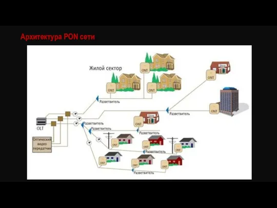 Архитектура PON сети