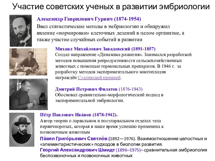 Участие советских ученых в развитии эмбриологии Александр Гаврилович Гурвич (1874-1954)