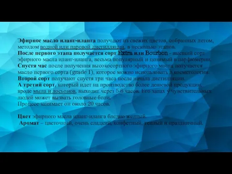 Эфирное масло иланг-иланга получают из свежих цветов, собранных летом, методом