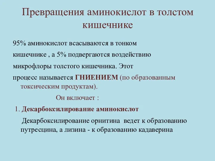 Превращения аминокислот в толстом кишечнике 95% аминокислот всасываются в тонком