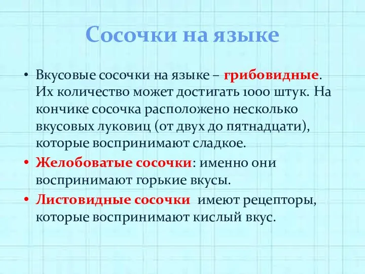 Сосочки на языке Вкусовые сосочки на языке – грибовидные. Их