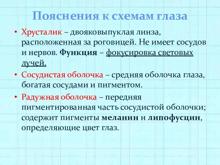 Пояснения к схемам глаза Хрусталик – двояковыпуклая линза, расположенная за