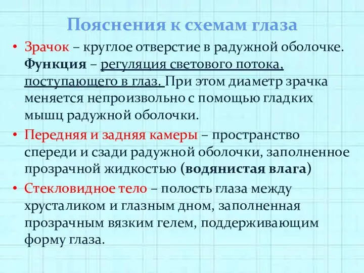 Пояснения к схемам глаза Зрачок – круглое отверстие в радужной