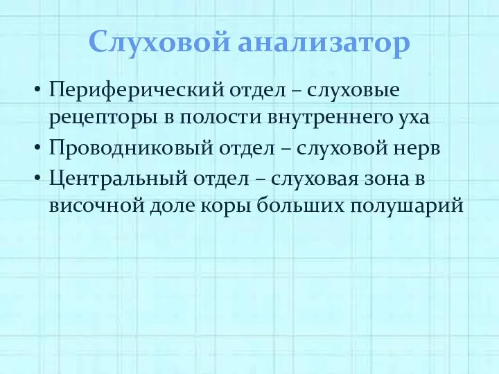 Слуховой анализатор Периферический отдел – слуховые рецепторы в полости внутреннего