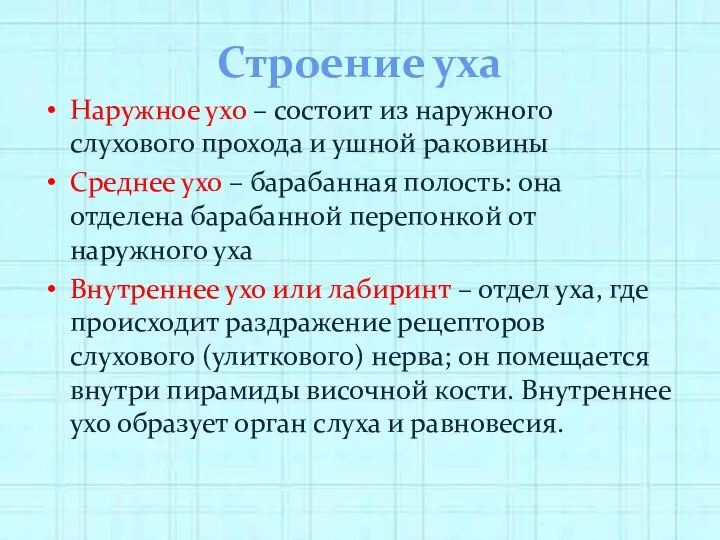 Строение уха Наружное ухо – состоит из наружного слухового прохода