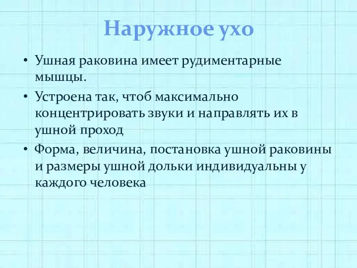 Наружное ухо Ушная раковина имеет рудиментарные мышцы. Устроена так, чтоб