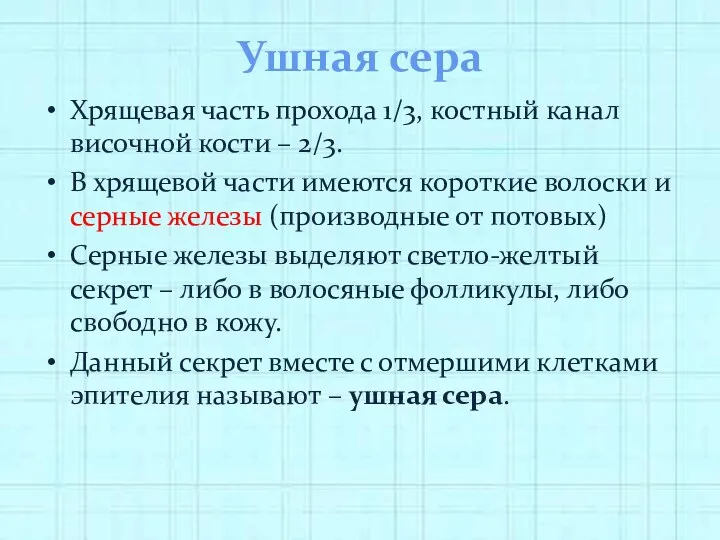 Ушная сера Хрящевая часть прохода 1/3, костный канал височной кости