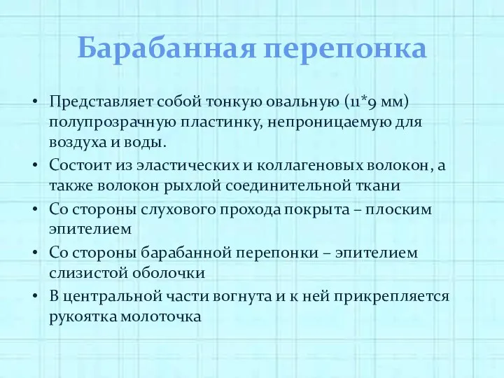 Барабанная перепонка Представляет собой тонкую овальную (11*9 мм) полупрозрачную пластинку,