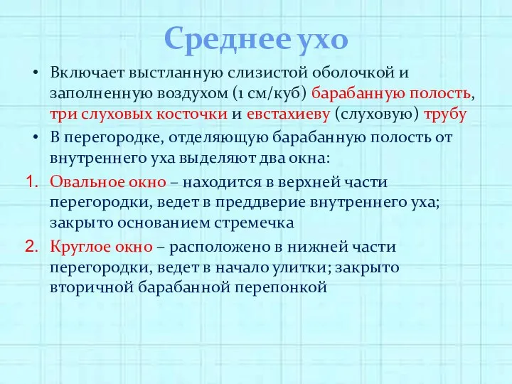 Среднее ухо Включает выстланную слизистой оболочкой и заполненную воздухом (1