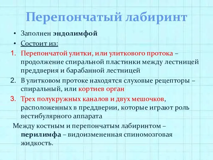 Перепончатый лабиринт Заполнен эндолимфой Состоит из: Перепончатой улитки, или улиткового