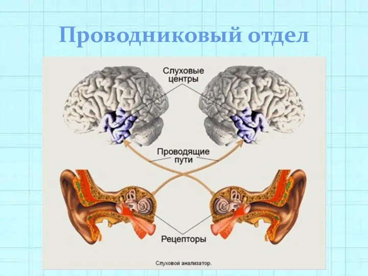 Проводниковый отдел