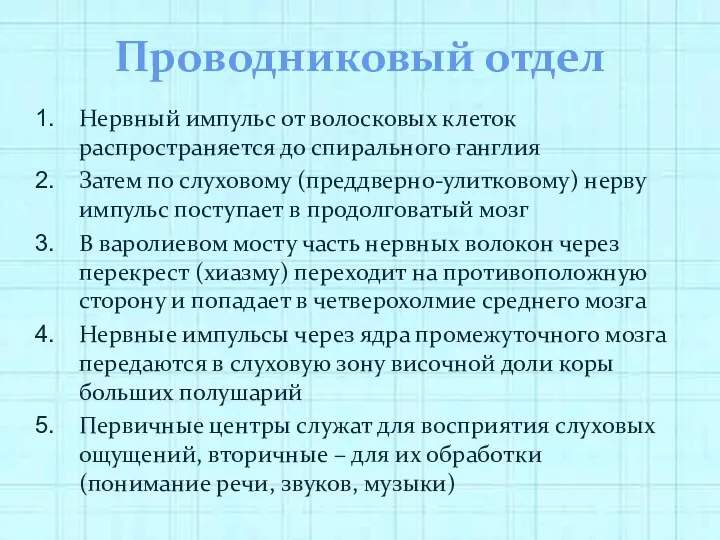 Проводниковый отдел Нервный импульс от волосковых клеток распространяется до спирального