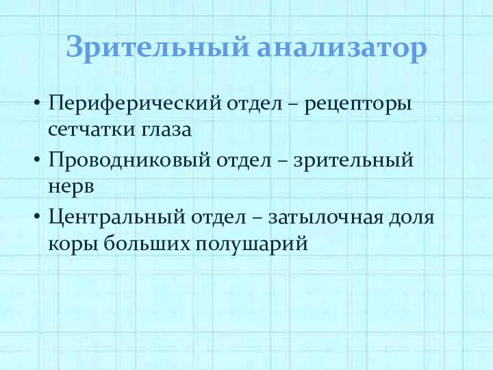 Зрительный анализатор Периферический отдел – рецепторы сетчатки глаза Проводниковый отдел