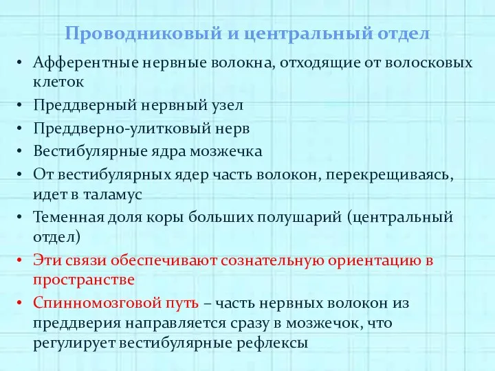 Проводниковый и центральный отдел Афферентные нервные волокна, отходящие от волосковых