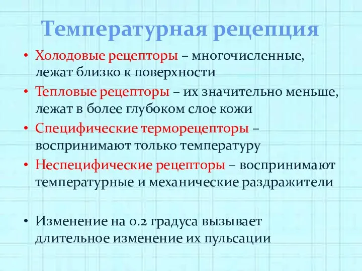 Температурная рецепция Холодовые рецепторы – многочисленные, лежат близко к поверхности