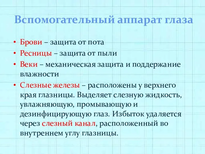 Вспомогательный аппарат глаза Брови – защита от пота Ресницы –