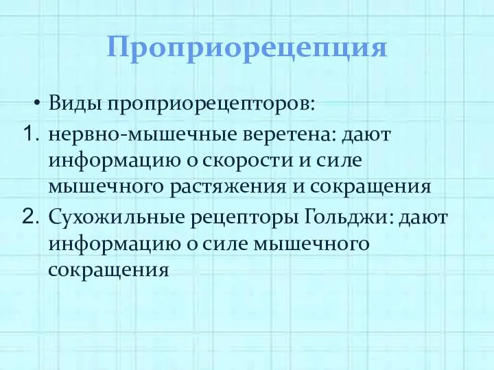 Проприорецепция Виды проприорецепторов: нервно-мышечные веретена: дают информацию о скорости и