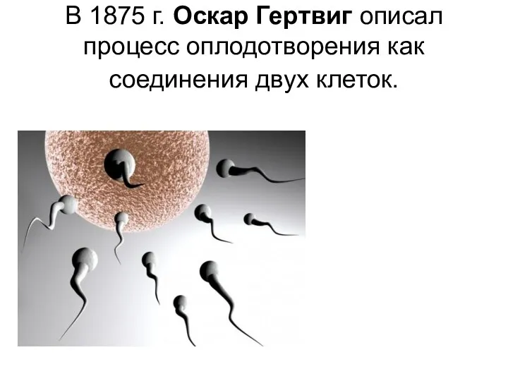 В 1875 г. Оскар Гертвиг описал процесс оплодотворения как соединения двух клеток.