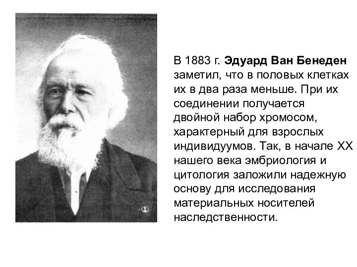 В 1883 г. Эдуард Ван Бенеден заметил, что в половых