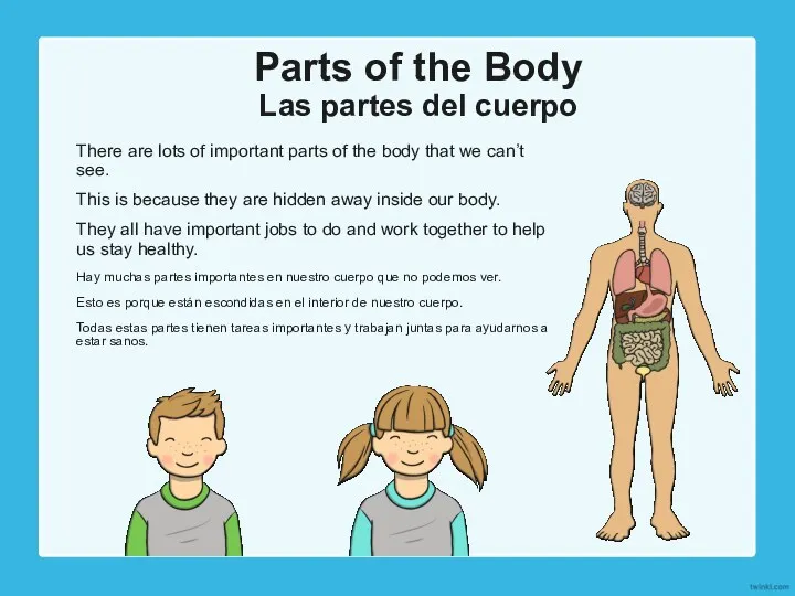 Parts of the Body Las partes del cuerpo There are