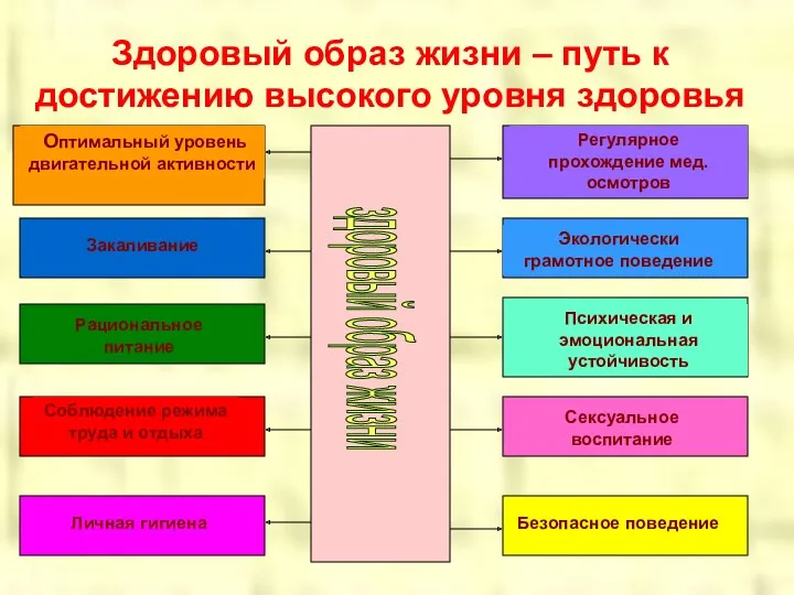 Здоровый образ жизни – путь к достижению высокого уровня здоровья здоровый образ жизни