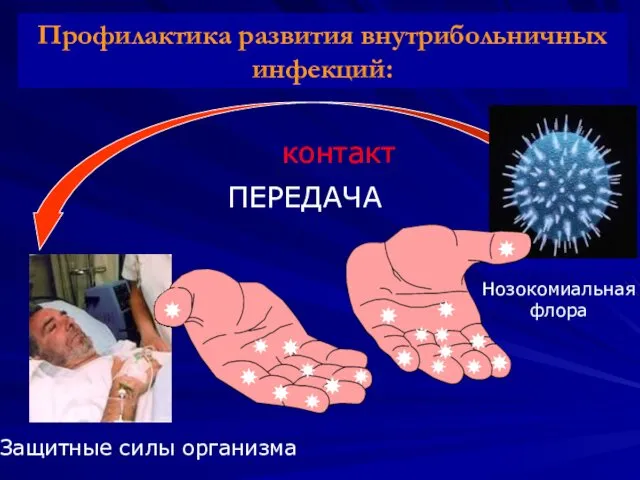 Защитные силы организма Нозокомиальная флора Pathophysiology of nosocomial infections Профилактика развития внутрибольничных инфекций: