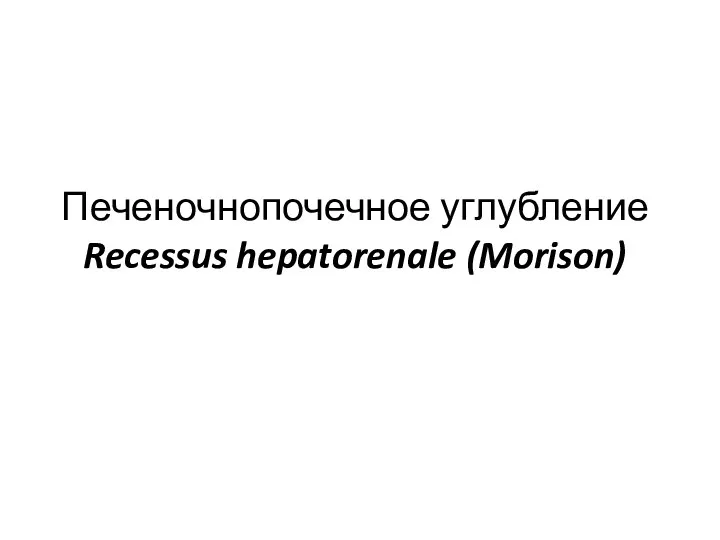 Печеночнопочечное углубление Recessus hepatorenale (Morison)