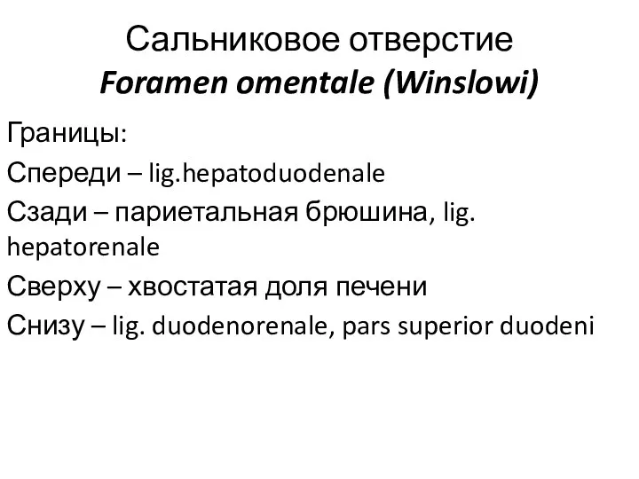 Сальниковое отверстие Foramen omentale (Winslowi) Границы: Спереди – lig.hepatoduodenale Сзади – париетальная брюшина,