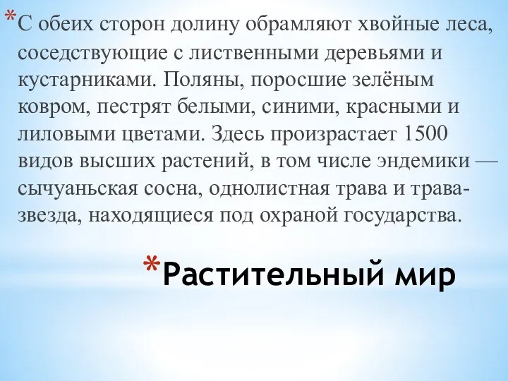 Растительный мир С обеих сторон долину обрамляют хвойные леса, соседствующие