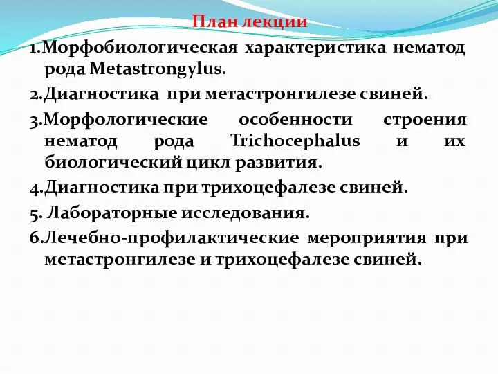 План лекции 1.Морфобиологическая характеристика нематод рода Metastrongylus. 2.Диагностика при метастронгилезе